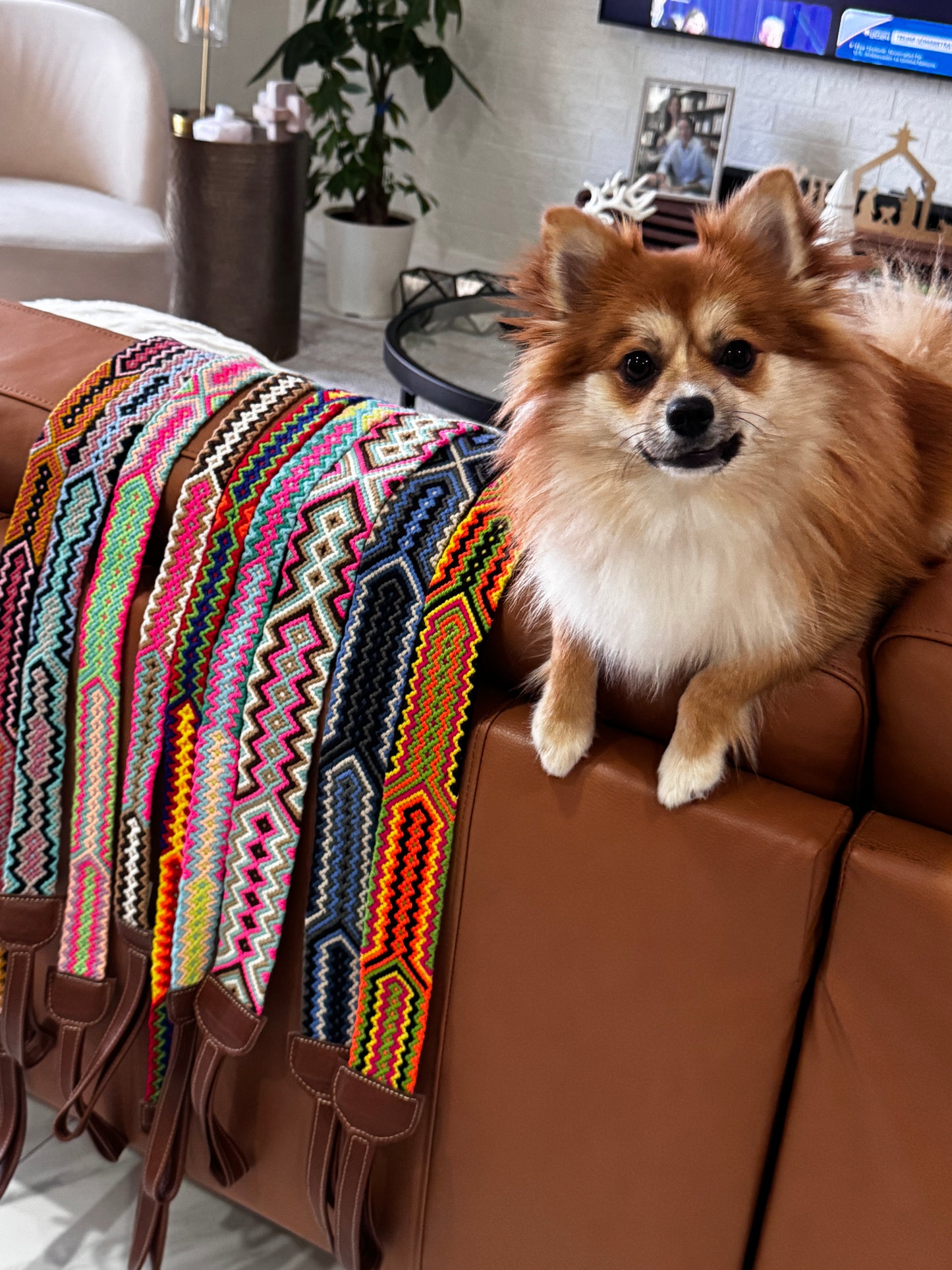 Wayuu Dog Leash - (4 Feet lond and 1,8 inches wide)