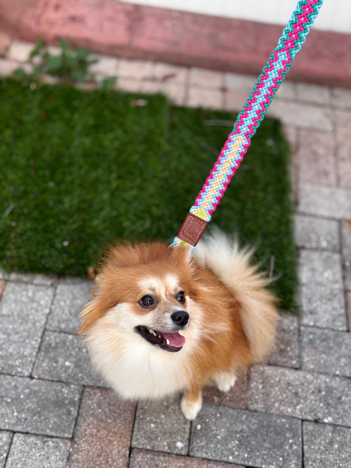 Wayuu Dog Leash - (4 Feet long and 1,5 wide)