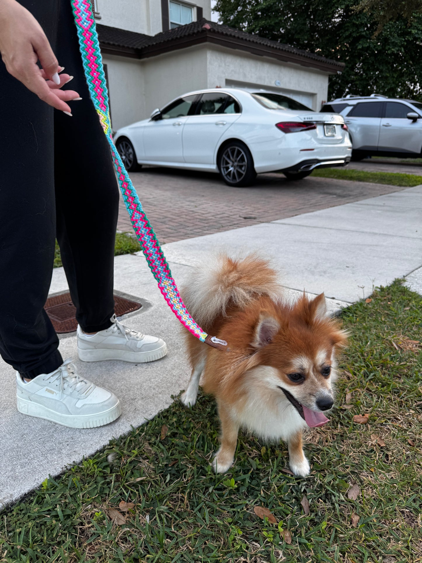 Wayuu Dog Leash - (4 Feet long and 1,8 Inches wide)